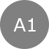 A1