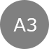 A3