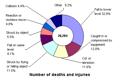 Types of Accidents in the Construction Industry (2001)Number of deaths and injuries