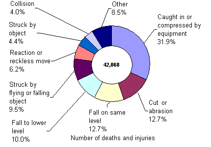 Types of Accidents in the Manufacturing Industry (2001) Number of deaths and injuries